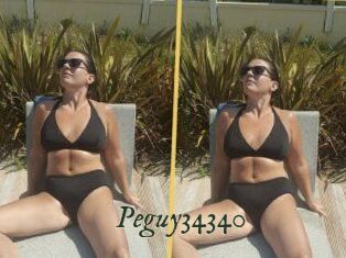 Peguy34340