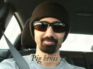 Pig_benis_25