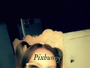 pixbunny Gratis Strip