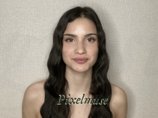 Pixelmuse