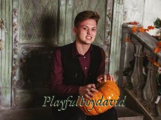 Playfulboydavid