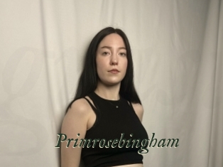 Primrosebingham
