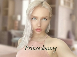 Princesbunny