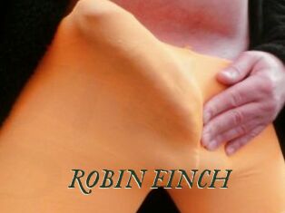 ROBIN_FINCH