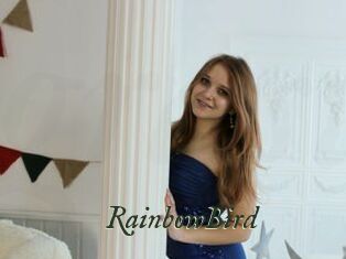 RainbowBird