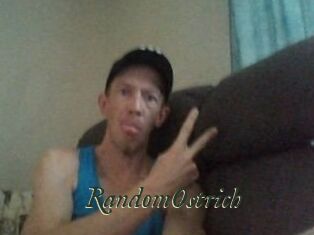 RandomOstrich