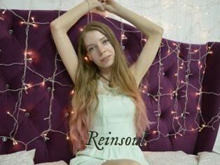 Reinsoul
