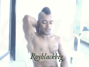royblackbig Gratis Strip