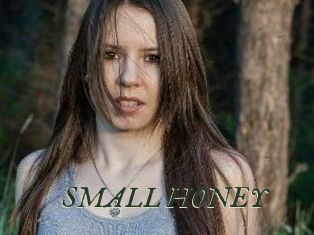 SMALL_HONEY
