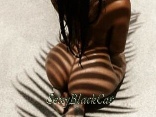SexyBlackCat_