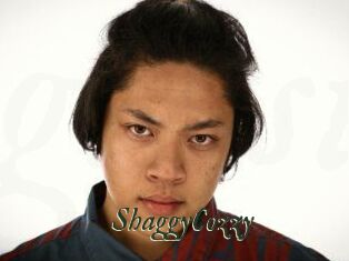 ShaggyCozzy