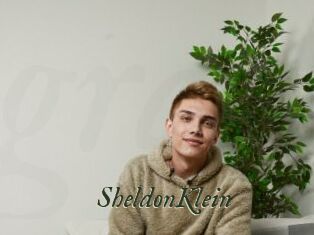 SheldonKlein