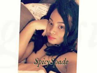 SpicySpade