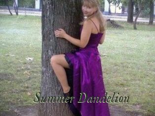 Summer_Dandelion