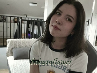 Sakuraflower
