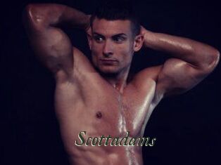 Scottadams