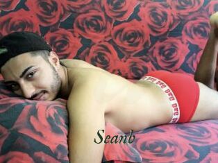 Seanb