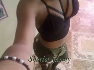 Sharlot_bunny