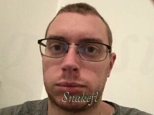 Snakefl