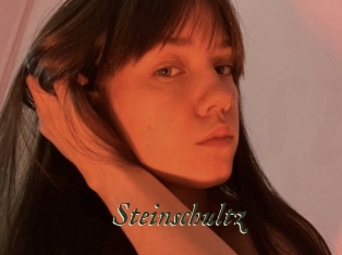 Steinschultz