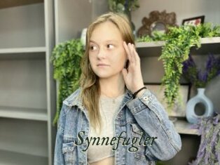 Synnefugler