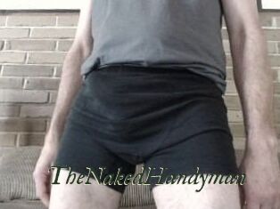 TheNakedHandyman