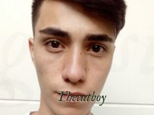 Thecatboy