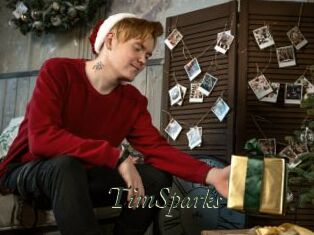 TimSparks