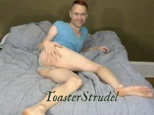ToasterStrudel
