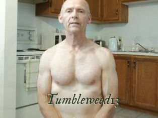Tumbleweed13