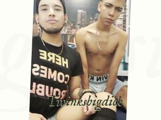 Twinksbigdick