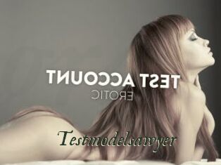 Testmodelsawyer