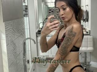 Tiny_taylorr