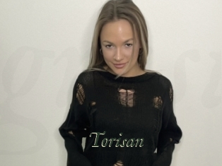 Torisan