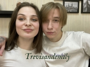 Trevisandemily