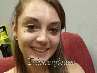 Trixysunflower