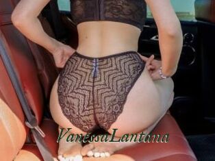 VanessaLantana
