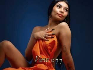 Vane_077