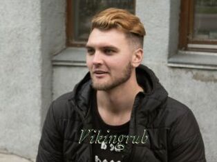 Vikingrub