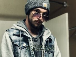 WildElijah