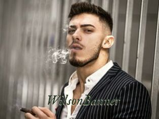 WilsonBanner Gratis Strip