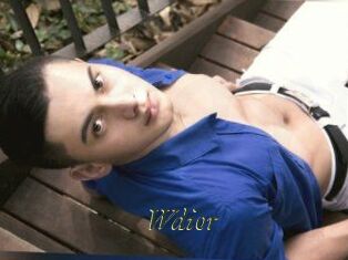 Wdior