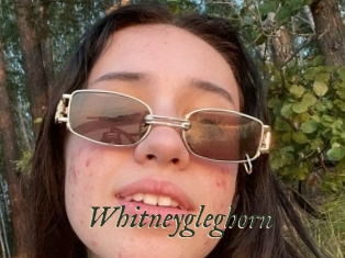 Whitneygleghorn