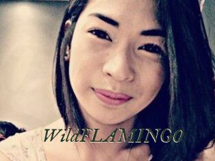 WildFLAMINGO