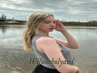 Wilonebolyard