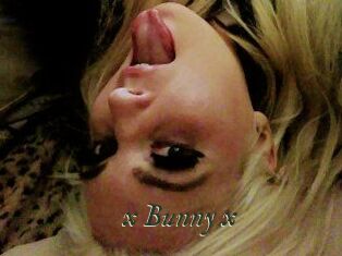 _x_Bunny_x_