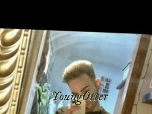 YoungOtter