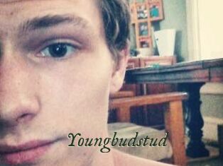 Youngbudstud