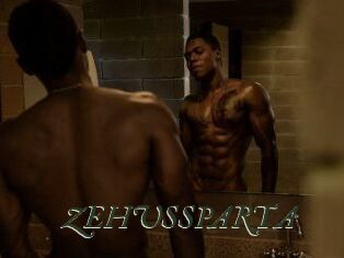 ZEHUS_SPARTA